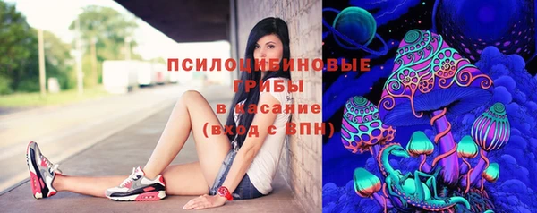 дживик Армянск