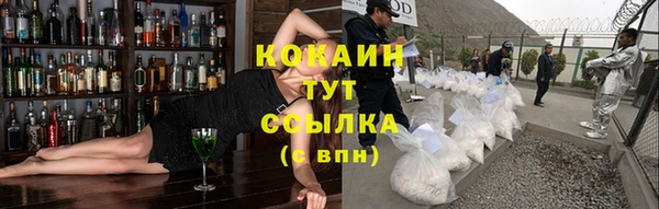 амф Алексин